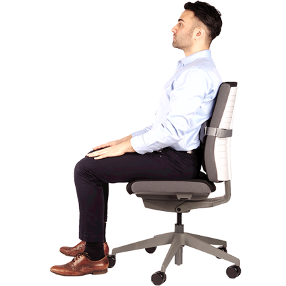 Coixí Lumbar Ergonòmic I-Spire de Fellowes - Gris