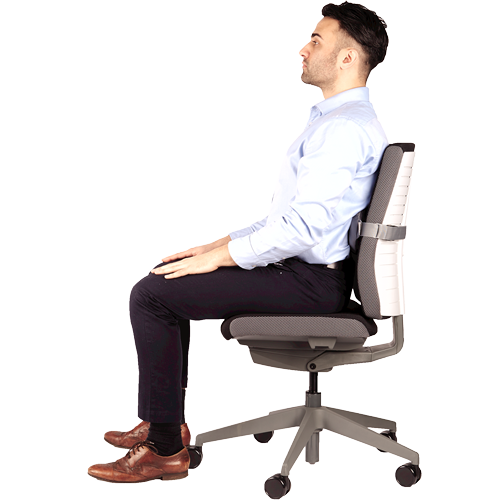 Coixí Lumbar Ergonòmic I-Spire de Fellowes - Gris