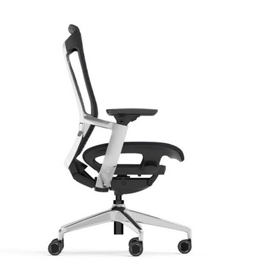 Aurum Black Chair with Headrest