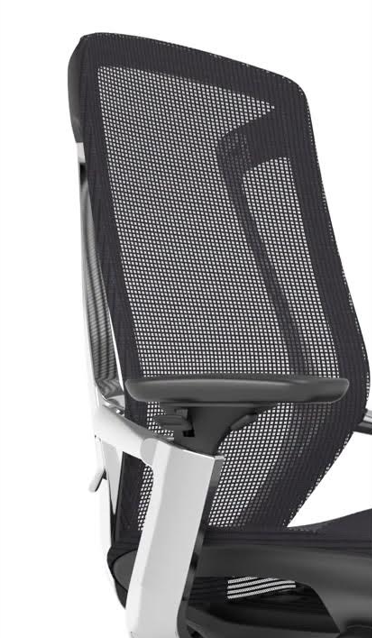 Aurum Black Chair with Headrest