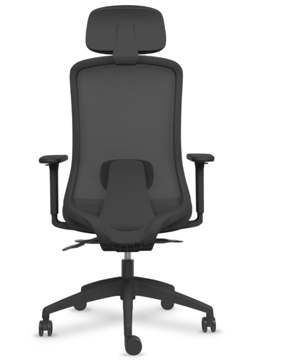 Silla Terra Negra con cabezal