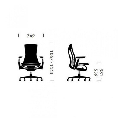 Herman Miller EMBODY Ergonomic Office Chair | Graphite